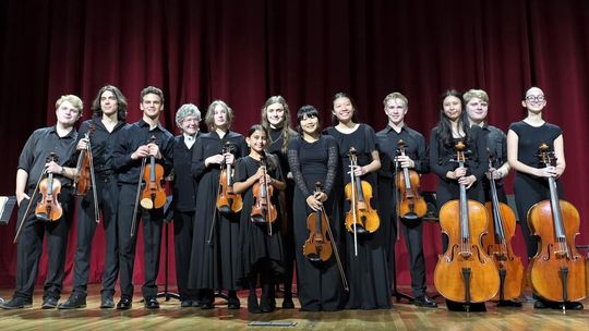 CONTRIBUTED PHOTO The Dripping Springs Youth Orchestra  chamber ensemble at their performance.