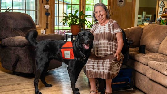 Former shelter dog helps restore independence for Texas counselor