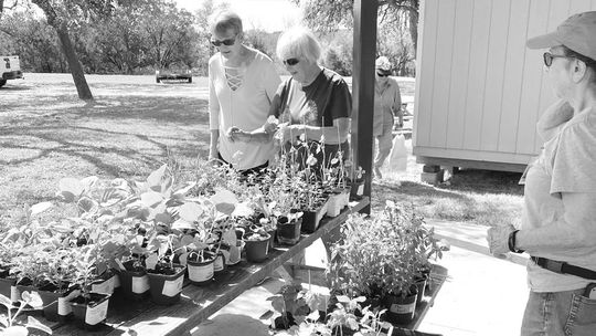 Hays County Master Gardeners Fall Plant & Tree Sale Oct. 16-22