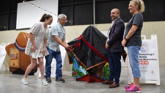 New stars unveiled for public art project