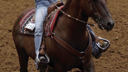 Riders practice skills at ranch horse show