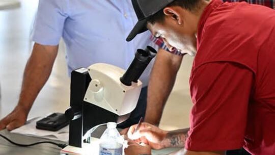 Screwworms arrive in Texas