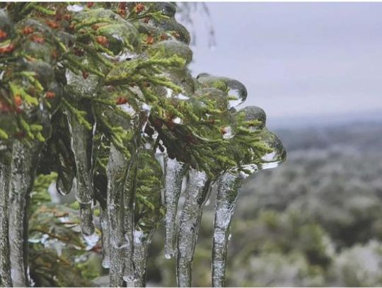 2. Ice storm hits the Hill Country, ends in disaster