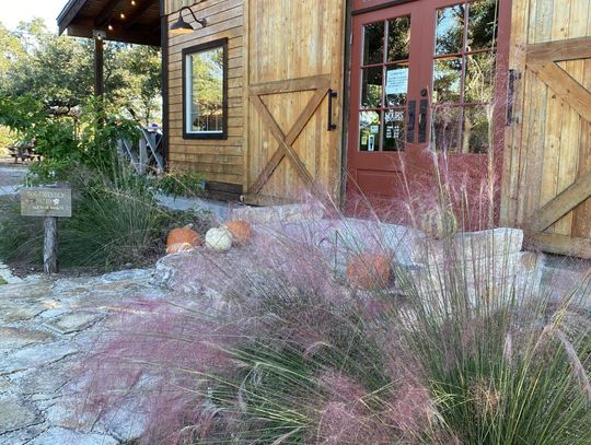 PHOTO BY LAURIE ANDERSON Seasons of Science will host an event at Roughouse Brewing on Dec. 7.