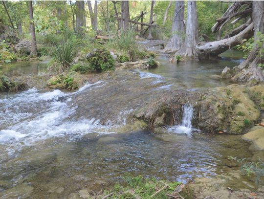 County partners to protect Blanco River, Cypress Creek