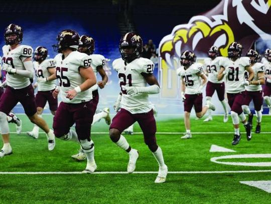 Dripping Springs heads to quarterfinals