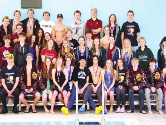 Dripping Springs swim team takes second in district meet