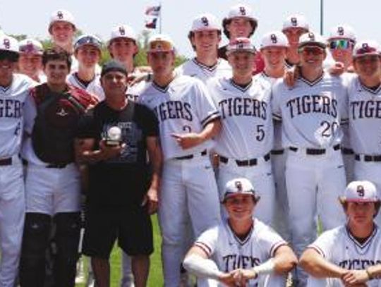 DSHS Tiger baseball splits final pair