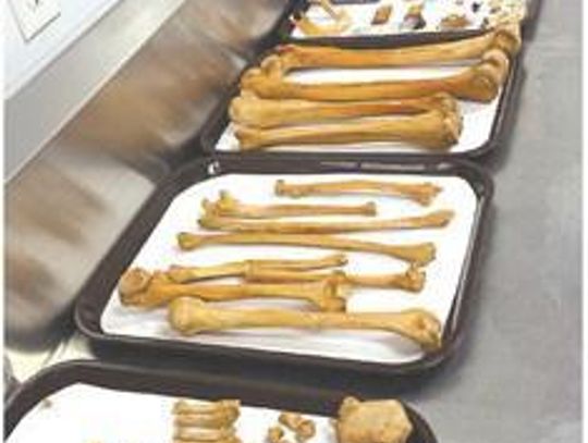 Forensic Anthropology Research Farm continues to provide necessary knowledge to wide group of organizations