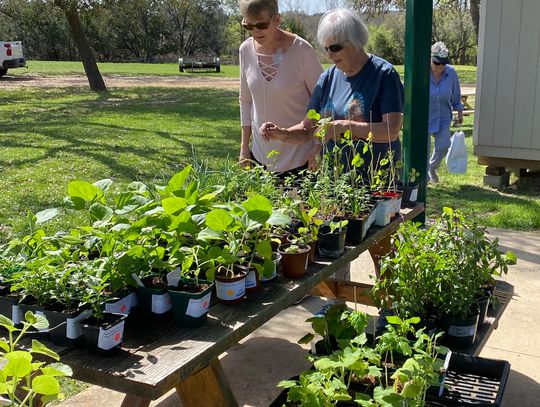 Hays County Master Gardeners to host spring plant and tree sale