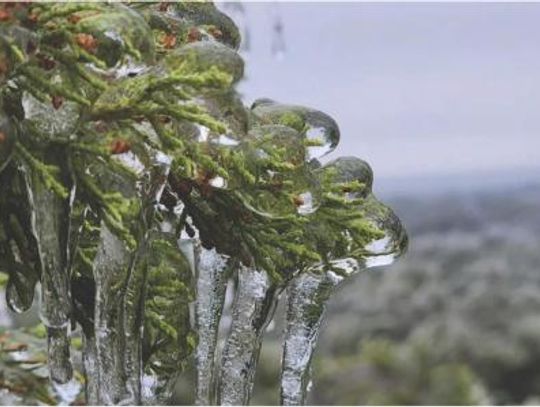 Ice storm hits the Hill Country, ends in disaster