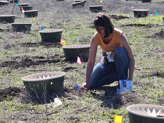 Jacob's Well to be reforested with new technology