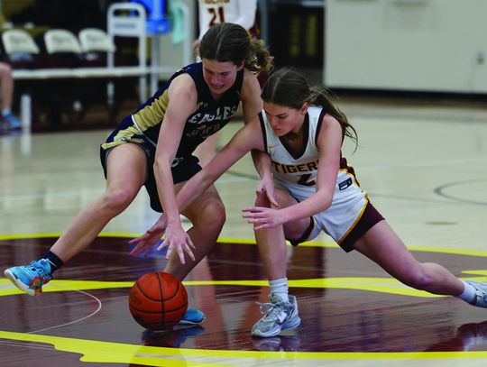 Lady Tigers triumph over Akins 73-27