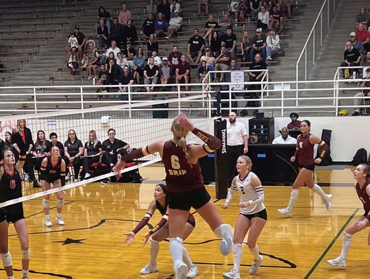 Lady Tigers Volleyball finish regular season