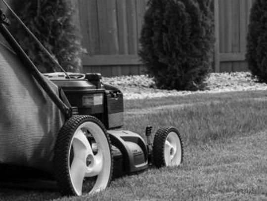 Lawn care strategies for warmer weather