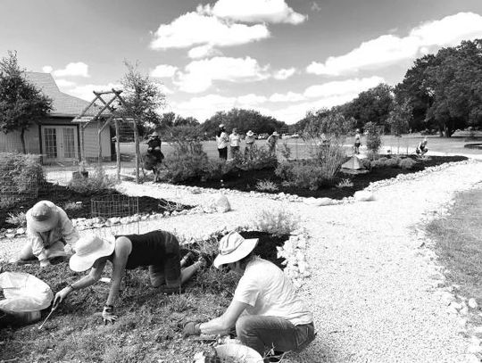 Learning to be a Hays  County Master Gardeners