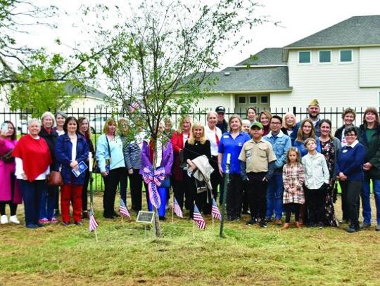 Local DAR chapter remembers its roots