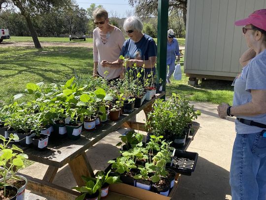 CONTRIBUTED PHOTO Master gardeners prepare for a plant sale.