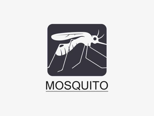 Mosquito season ramps up after recent rains