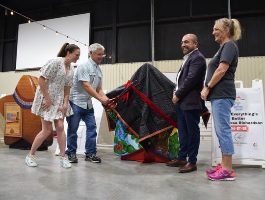 New stars unveiled for public art project