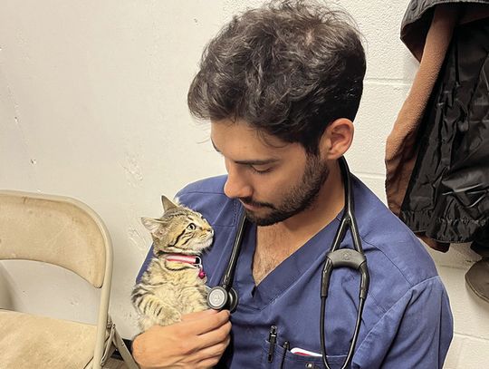 New veterinarian to join staff at Sunset Canyon clinic