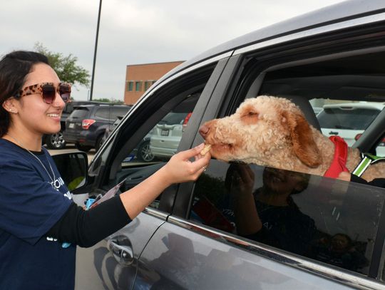 Over 250 families served at food distribution for people and pets