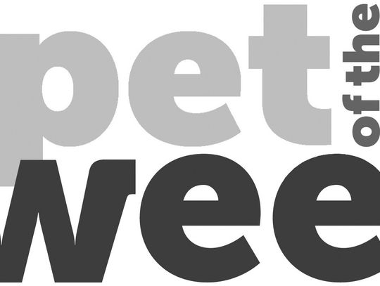 Pet of the week