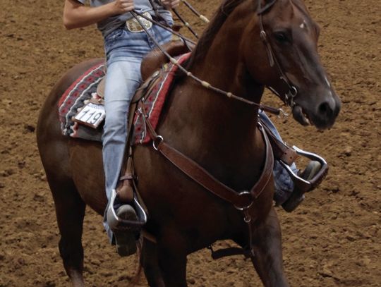 Riders practice skills at ranch horse show