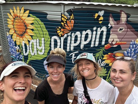 The Power of Murals