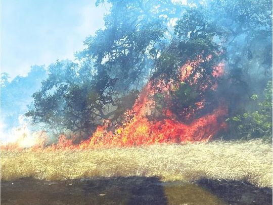 Wildfire burns more than 40 acres near Buda