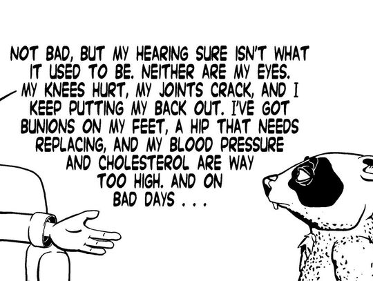 Image wombania-2026-01-05.jpg (10124783)