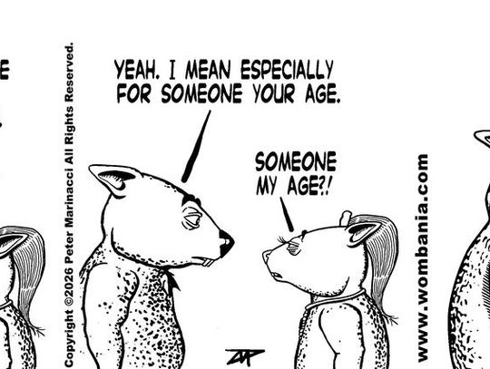 Image wombania-2026-02-16.jpg (10344943)