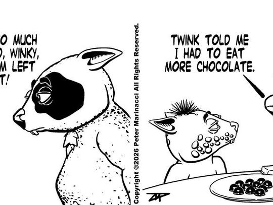 Image wombania-2026-03-16.jpg (10483367)