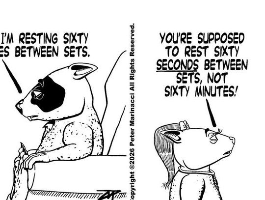 Image wombania-2026-03-30.jpg (10549507)