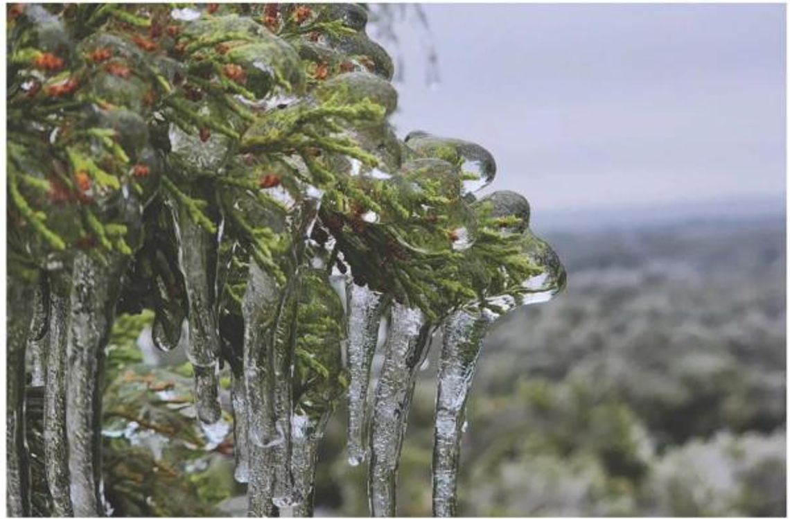 2. Ice storm hits the Hill Country, ends in disaster