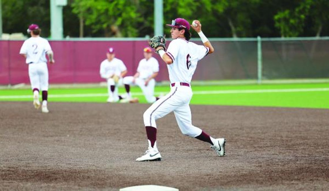 Baseball Tigers earn All-District positions