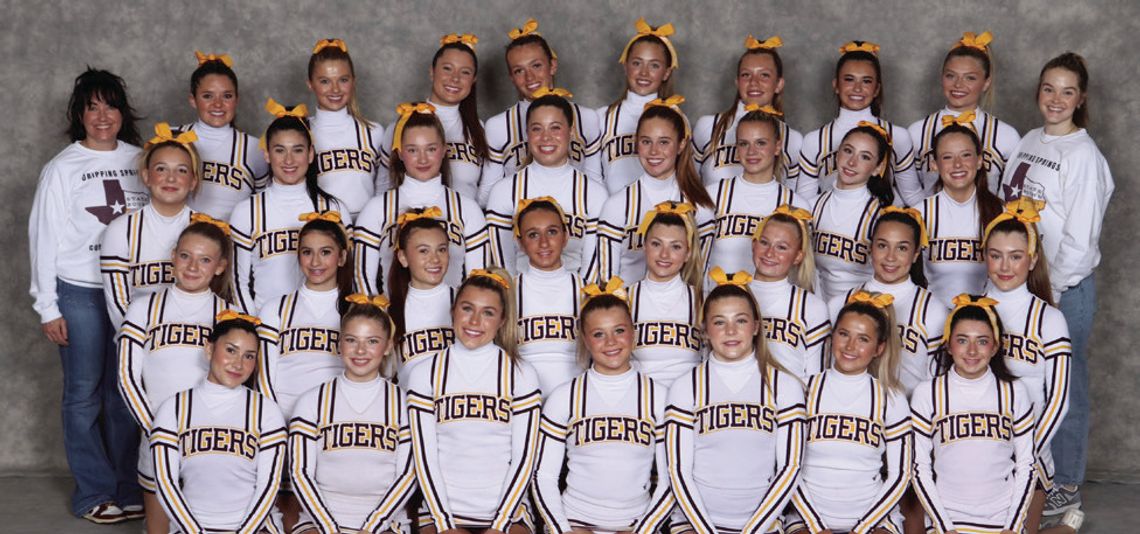 Cheer places 13th at state meet