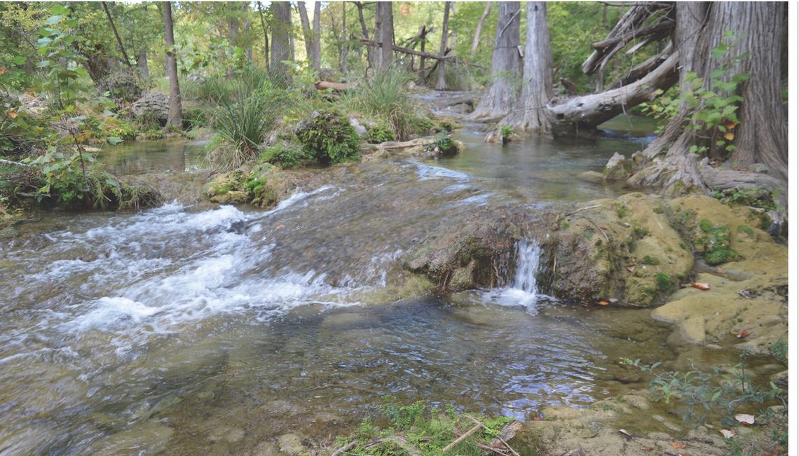 County partners to protect Blanco River, Cypress Creek