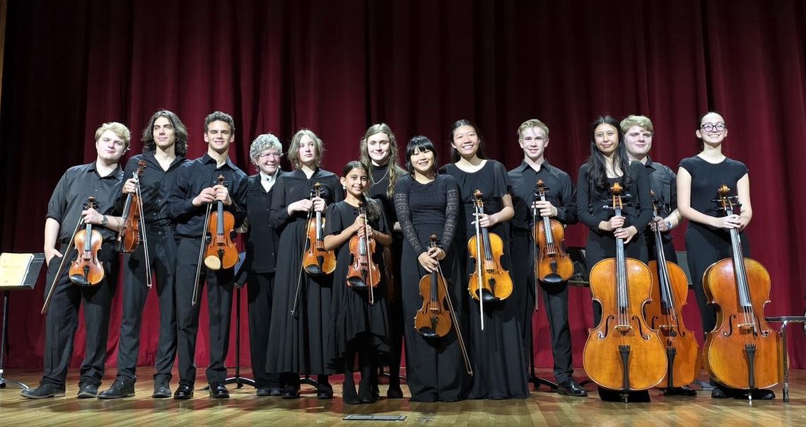 CONTRIBUTED PHOTO The Dripping Springs Youth Orchestra  chamber ensemble at their performance.