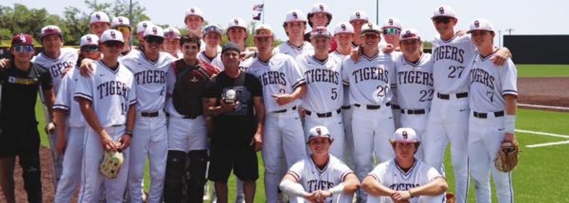 DSHS Tiger baseball splits final pair