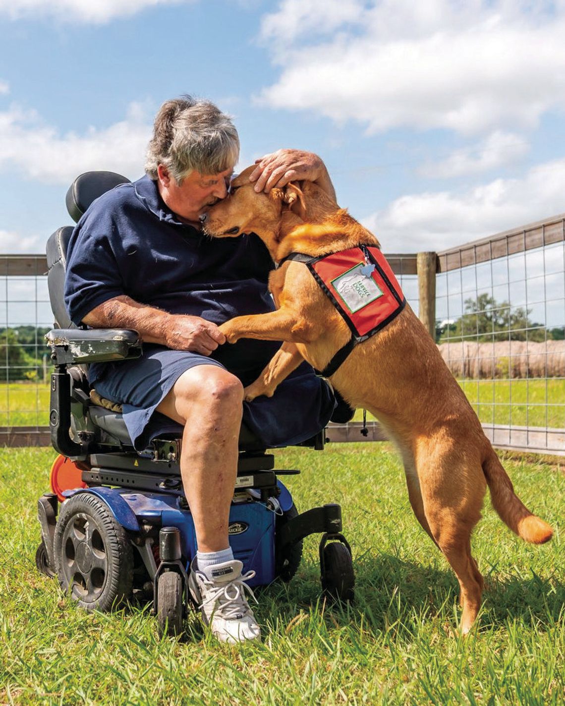 From shelters to service: How Texas dogs are transforming lives