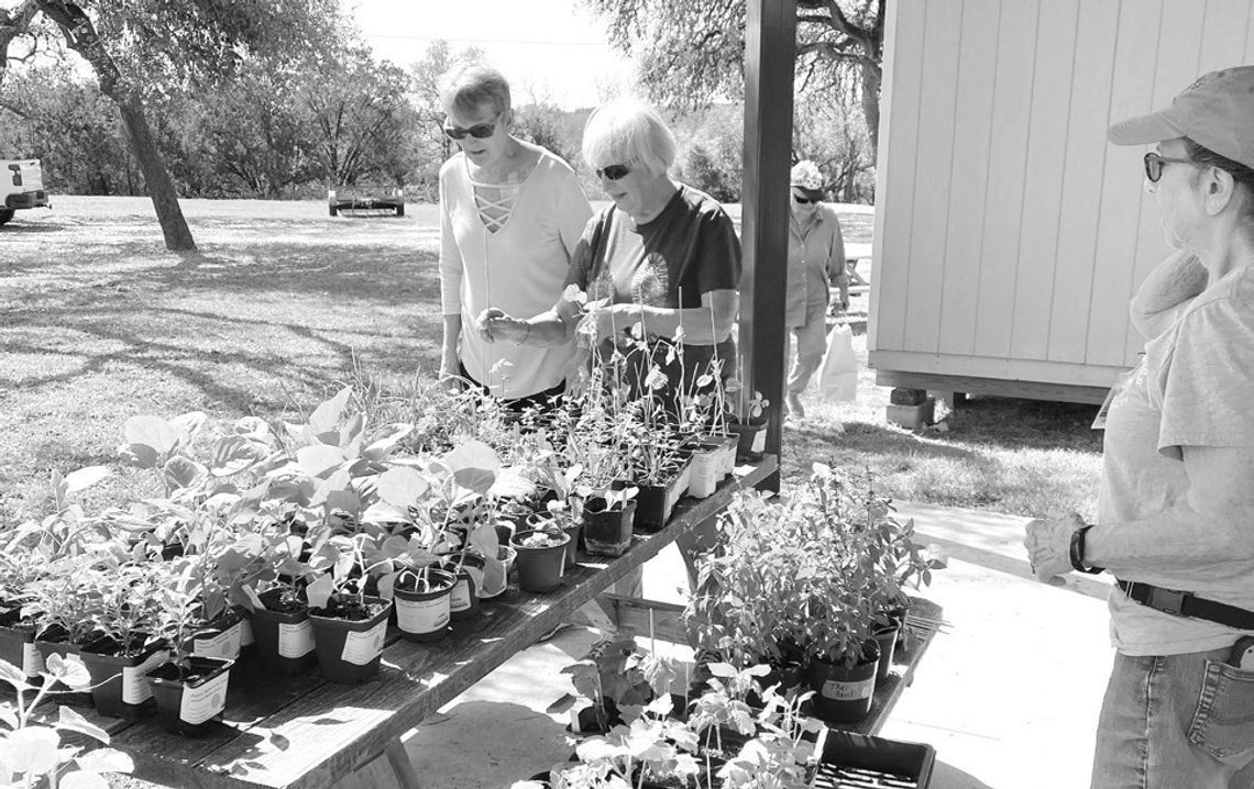 Hays County Master Gardeners Fall Plant & Tree Sale Oct. 16-22