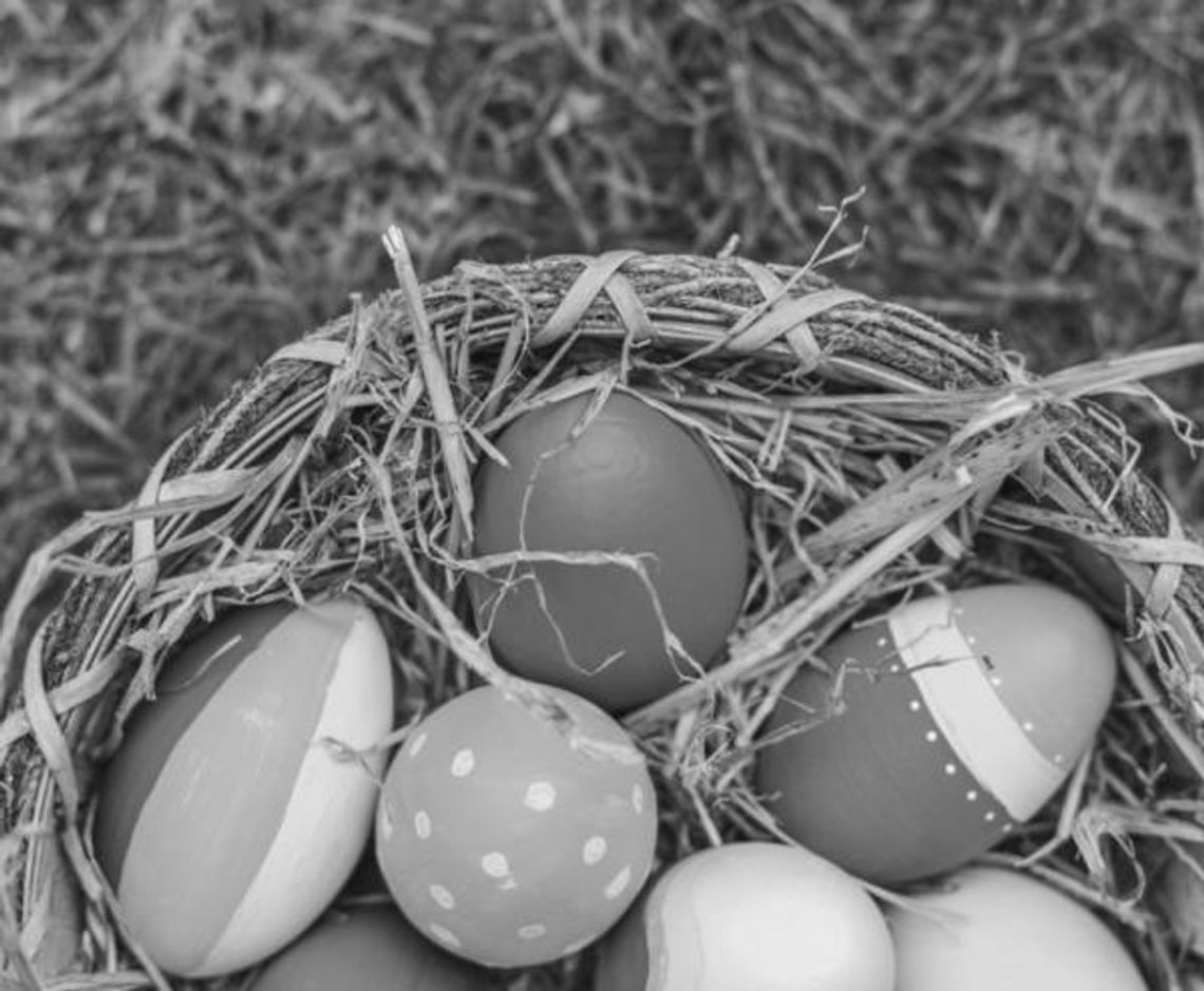 Hays County to host egg hunt