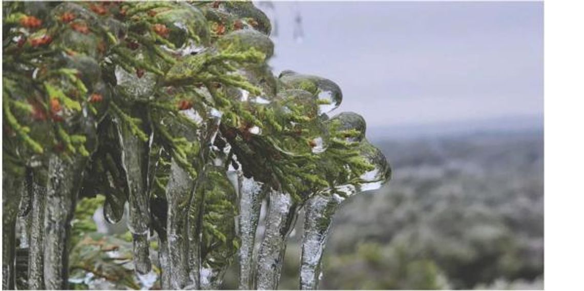 Ice storm hits the Hill Country, ends in disaster