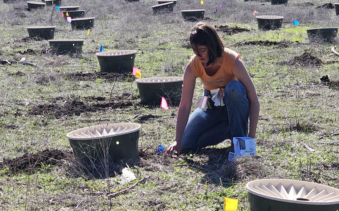 Jacob's Well to be reforested with new technology