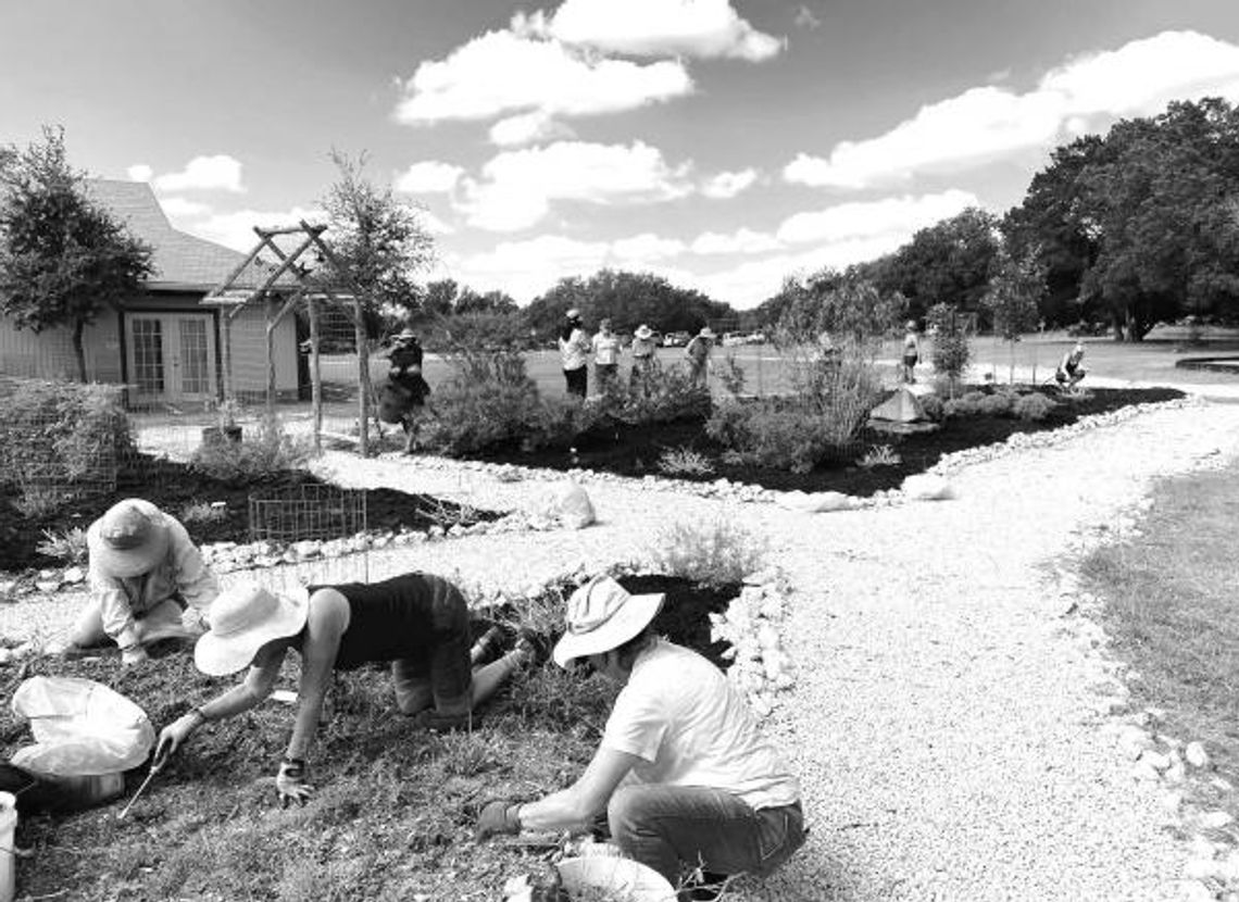 Learning to be a Hays  County Master Gardeners