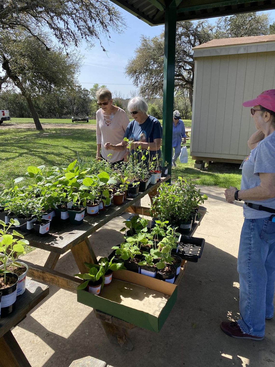 CONTRIBUTED PHOTO Master gardeners prepare for a plant sale.