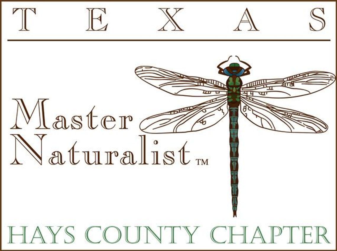 Nature’s Nuances PHOTO BY PATRICK BAGLIETTO