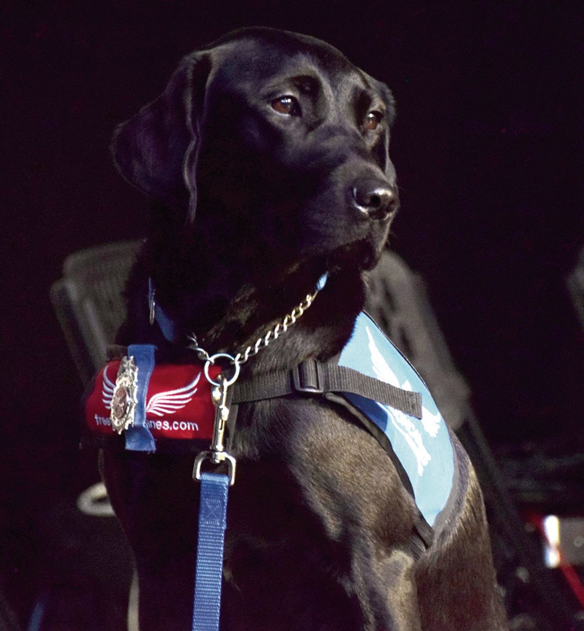 North Hays County Fire / Rescue welcomes firehouse facility dog