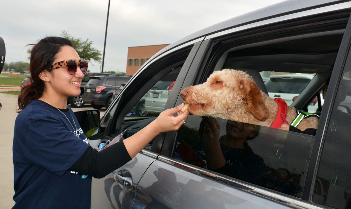 Over 250 families served at food distribution for people and pets